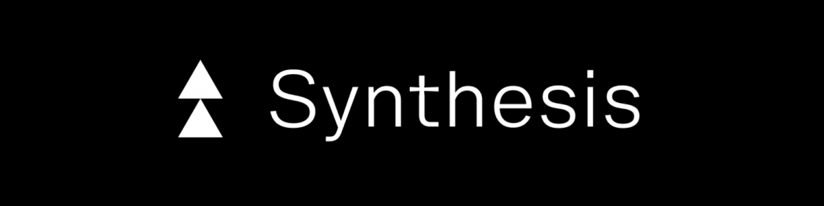 Synthesis School Inc cover