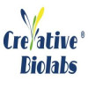 Recombinant Antibody