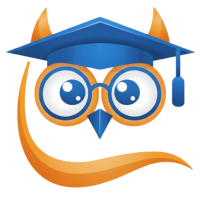 Native Assignment Help logo image